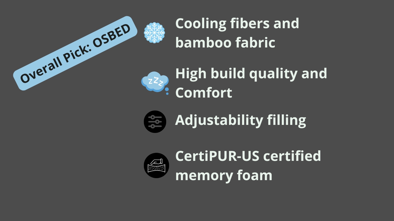 Best Bamboo Pillow