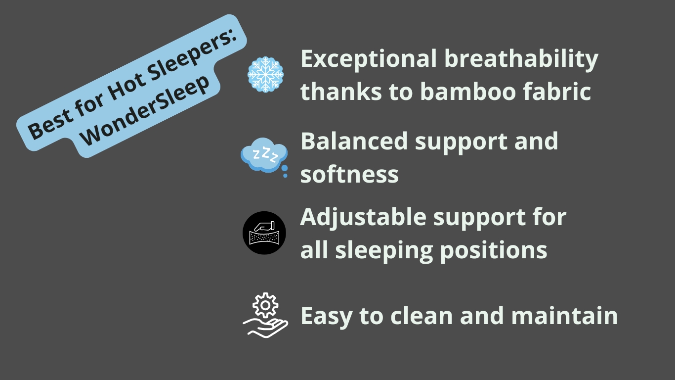 Best Bamboo Pillow